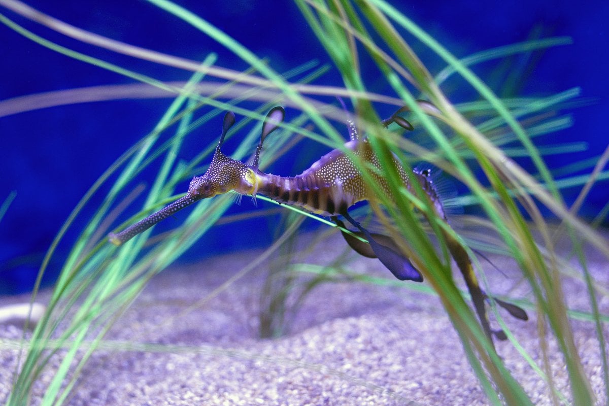 Maritime Aquarium at Norwalk - Gallery Image 1